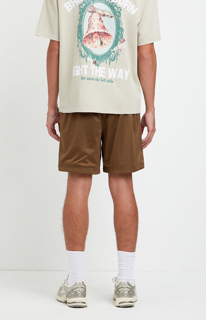 Pacsun Brown Aaron Mesh Volley Shorts | Pacsun