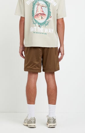Brown Aaron Mesh Volley Shorts image number 4