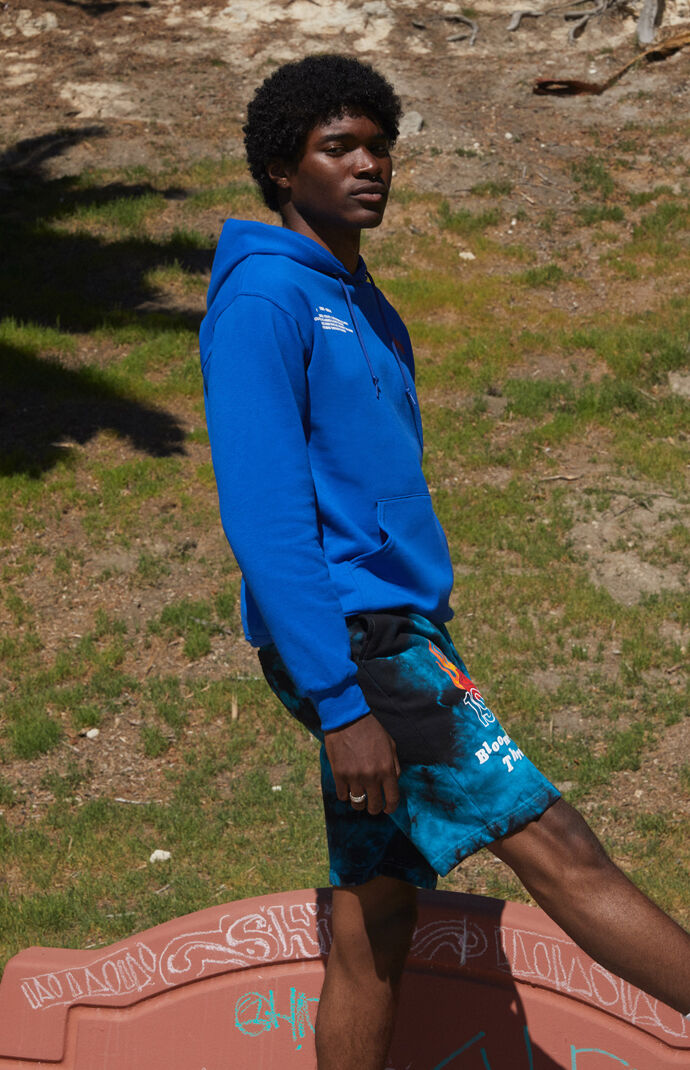 Logo Hoodie