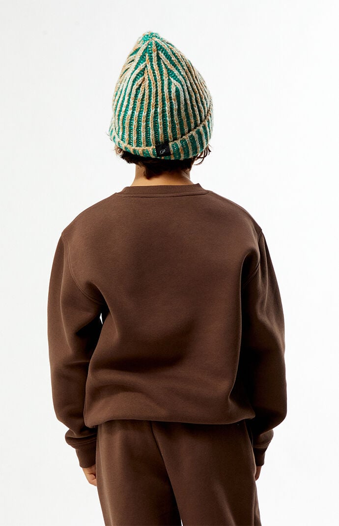 Pacsun Kids Brown Crew Neck Sweatshirt