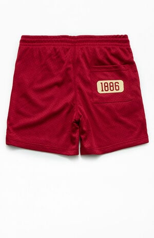 By PacSun Hometeam Mesh Shorts image number 2