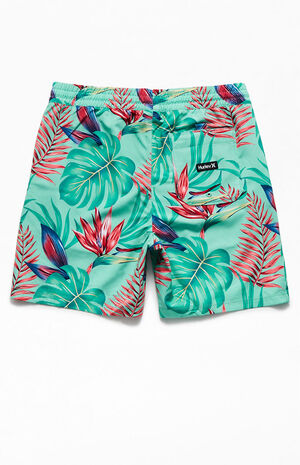 Cannonball Volley 17" Swim Trunks image number 2