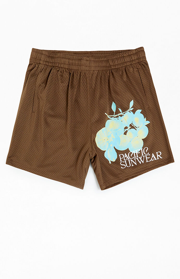 Pacsun basketball shorts deals