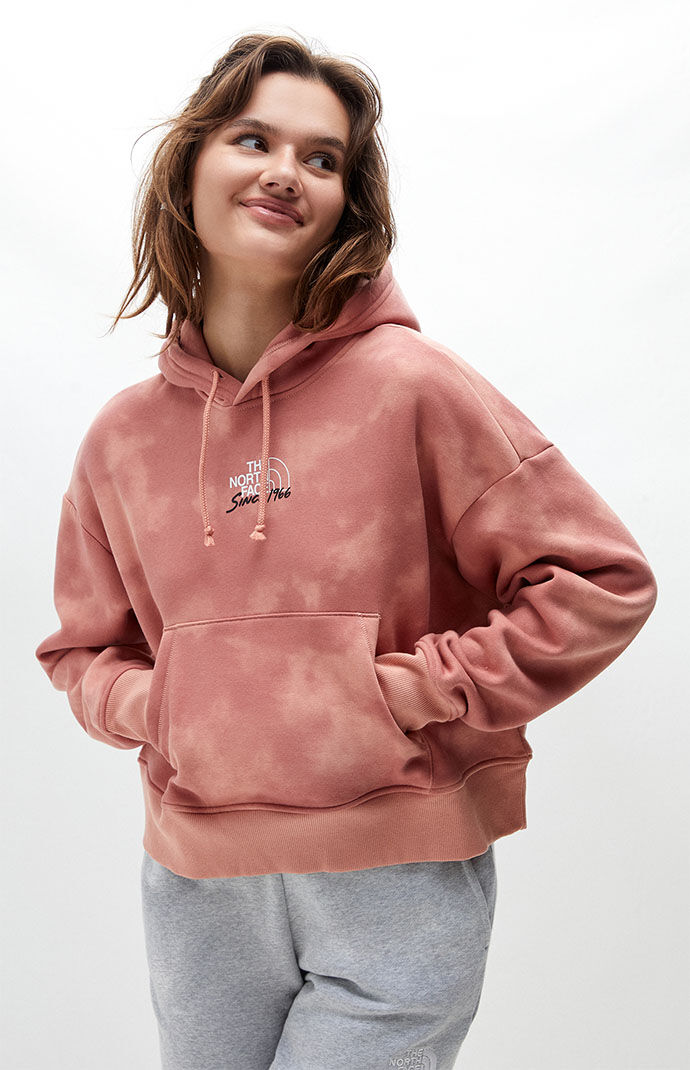 Pacsun north face discount hoodie