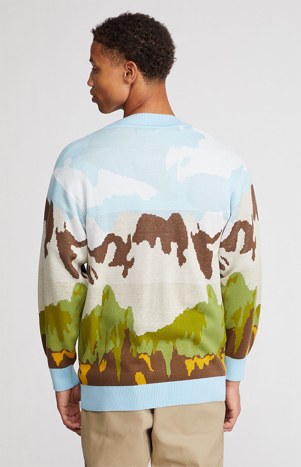 PacSun Scenic Cardigan PacSun