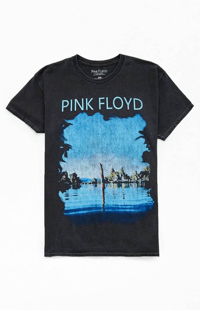 Pink Floyd Wish You Were Here T-Shirt | PacSun