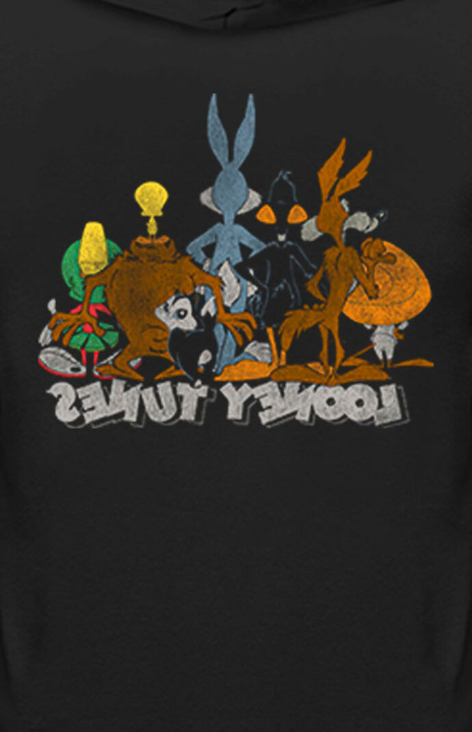 Looney Tunes Crew Hoodie