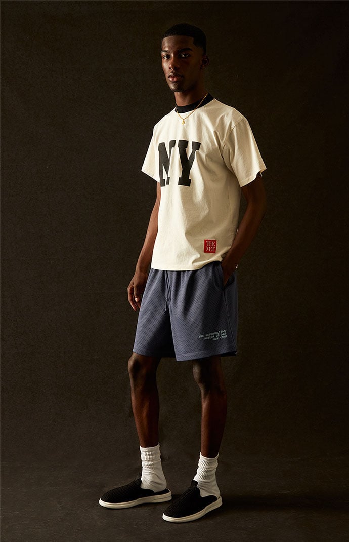 Pacsun mesh 2025 shorts