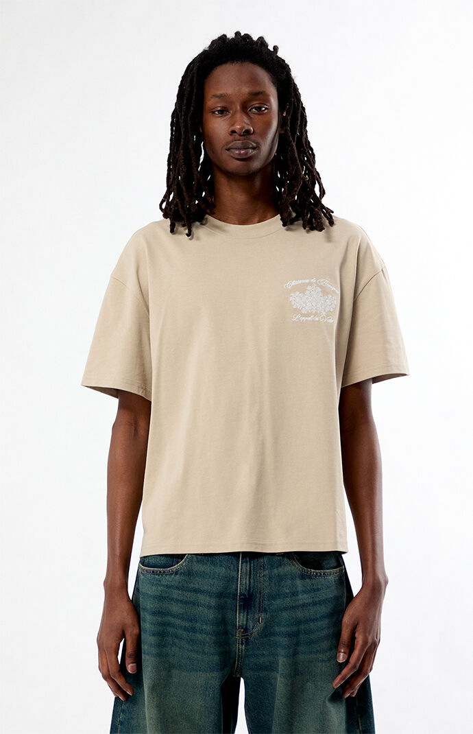 Pacsun Chateaux Embroidered T-Shirt