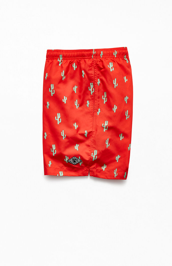 Prickly 17" Swim Trunks