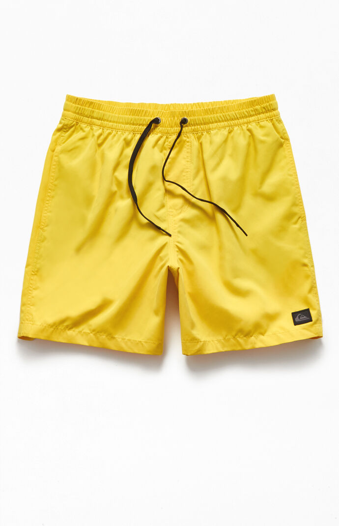 Everyday 17" Swim Trunks