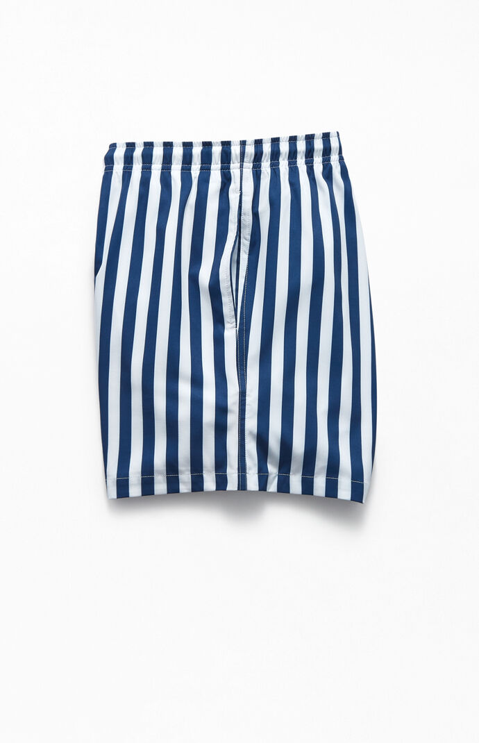 Navy Stripes 17" Volley Swim Trunks