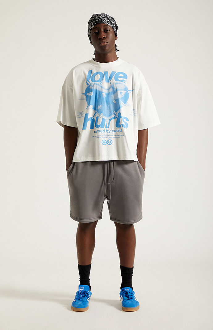 Pacsun Gray Fleece Volley Sweat Shorts