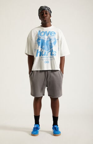 Gray Fleece&nbsp;Volley&nbsp;Sweat Shorts image number 6