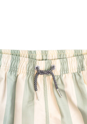 Kids Fistral Stripe Swim Trunks image number 4