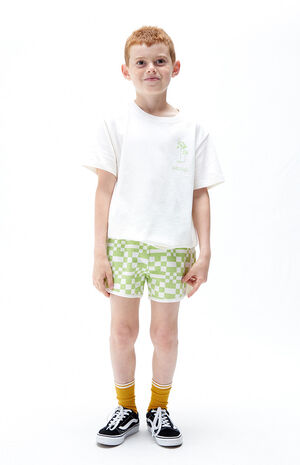 Dolphin Checkered Shorts image number 2