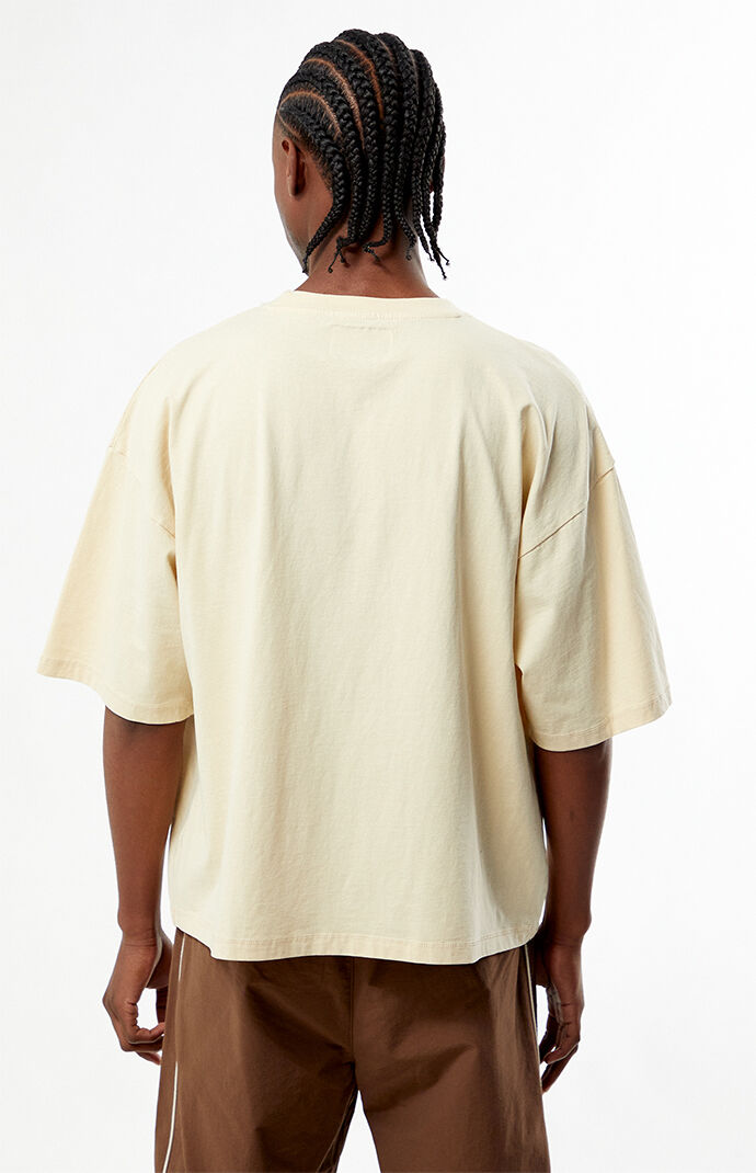 Pacsun Sunkissed Cropped Boxy T-Shirt