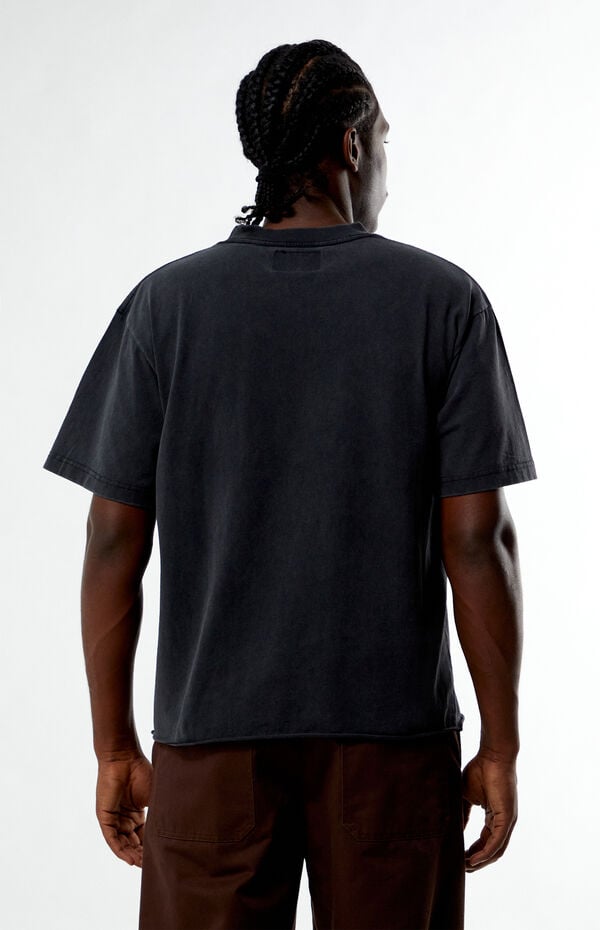 Pacsun Montana Cropped T-Shirt
