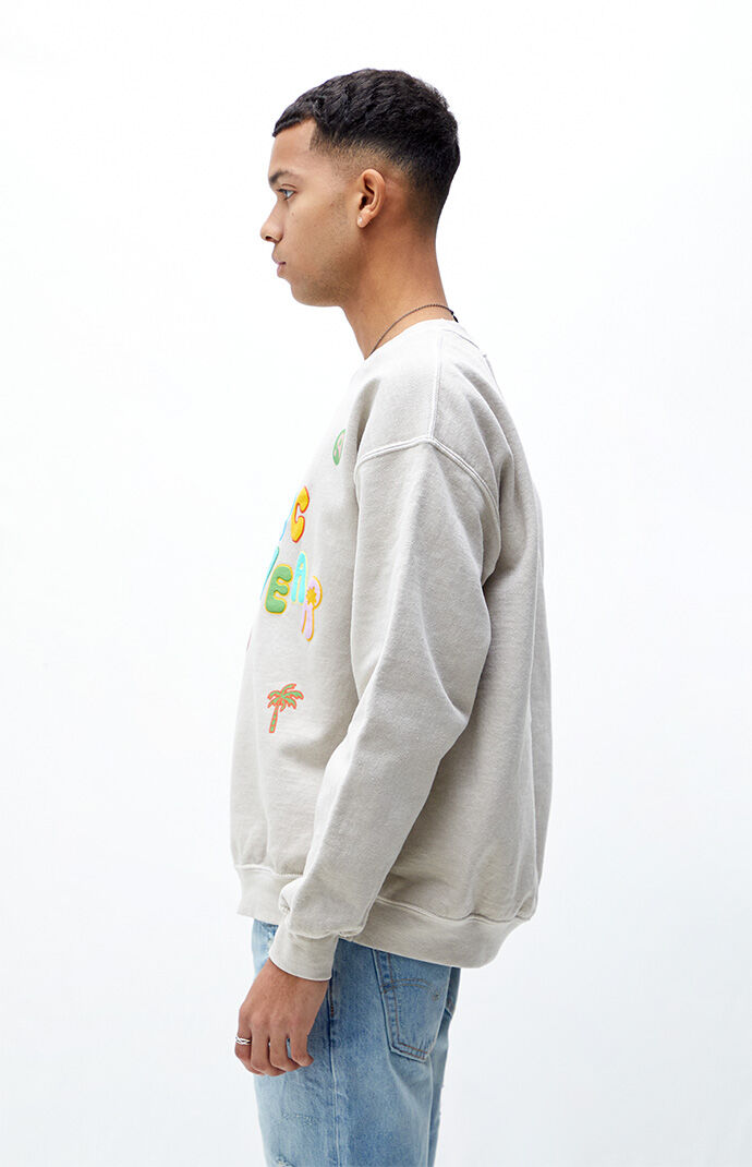 crew neck sweatshirt pacsun