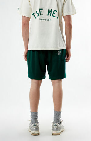 x PacSun Academy Mesh Shorts image number 4
