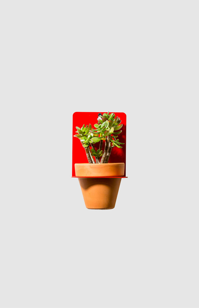 Red Sheet Metal Wall Planter