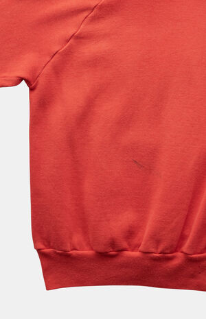 80s Denali National Park Alaska Pullover Hoodie image number 2