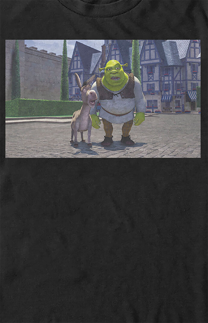Shrek And Donkey T-Shirt