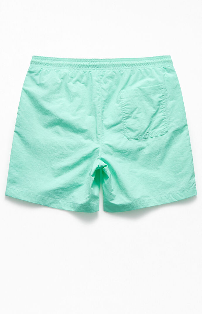 inappropriate swim trunks