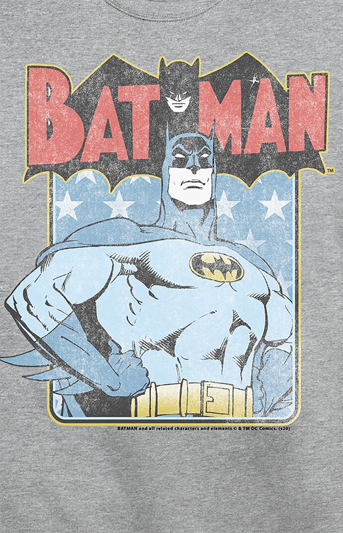 Bat USA Sweatshirt | PacSun