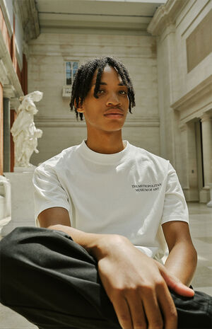 x PacSun Metropolitan Museum Of Art Graphic Arts T-Shirt image number 1