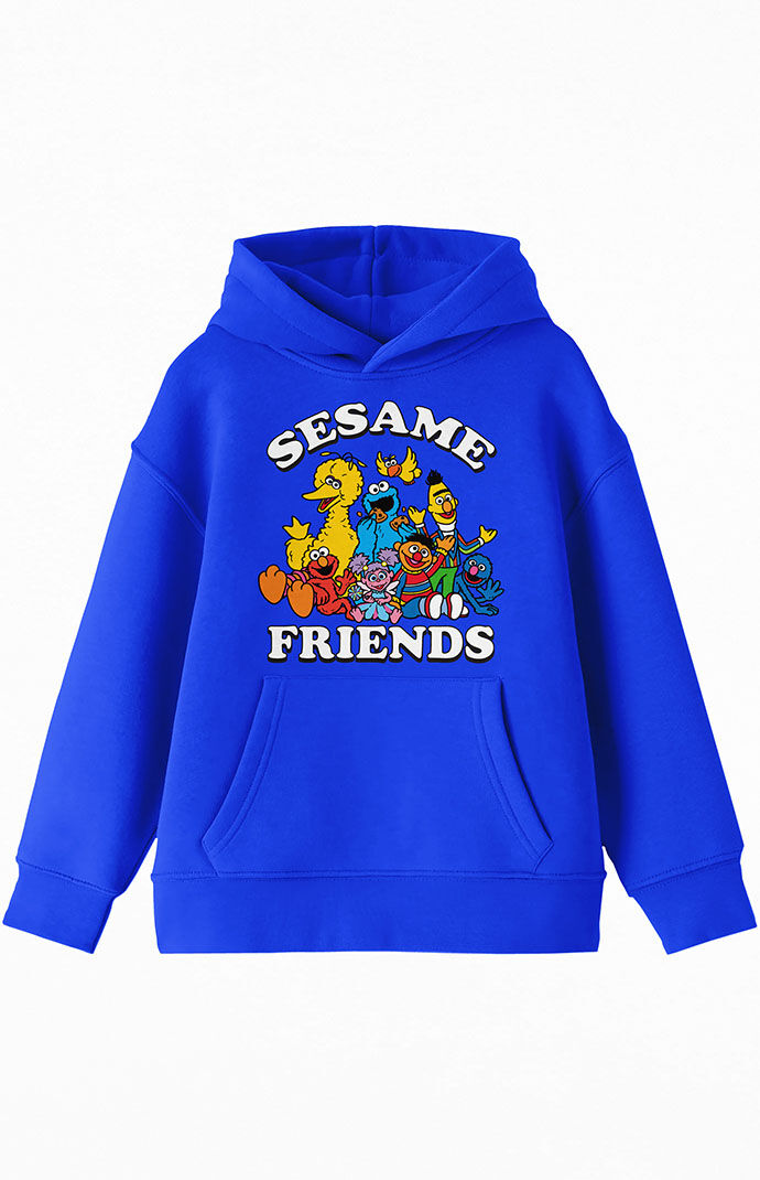 Kids Sesame Street Friends Hoodie PacSun