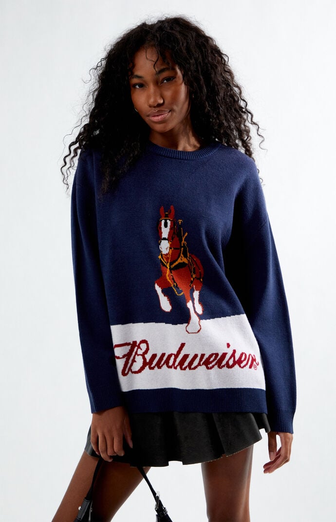 Image: By PacSun Clydesdale Sweater