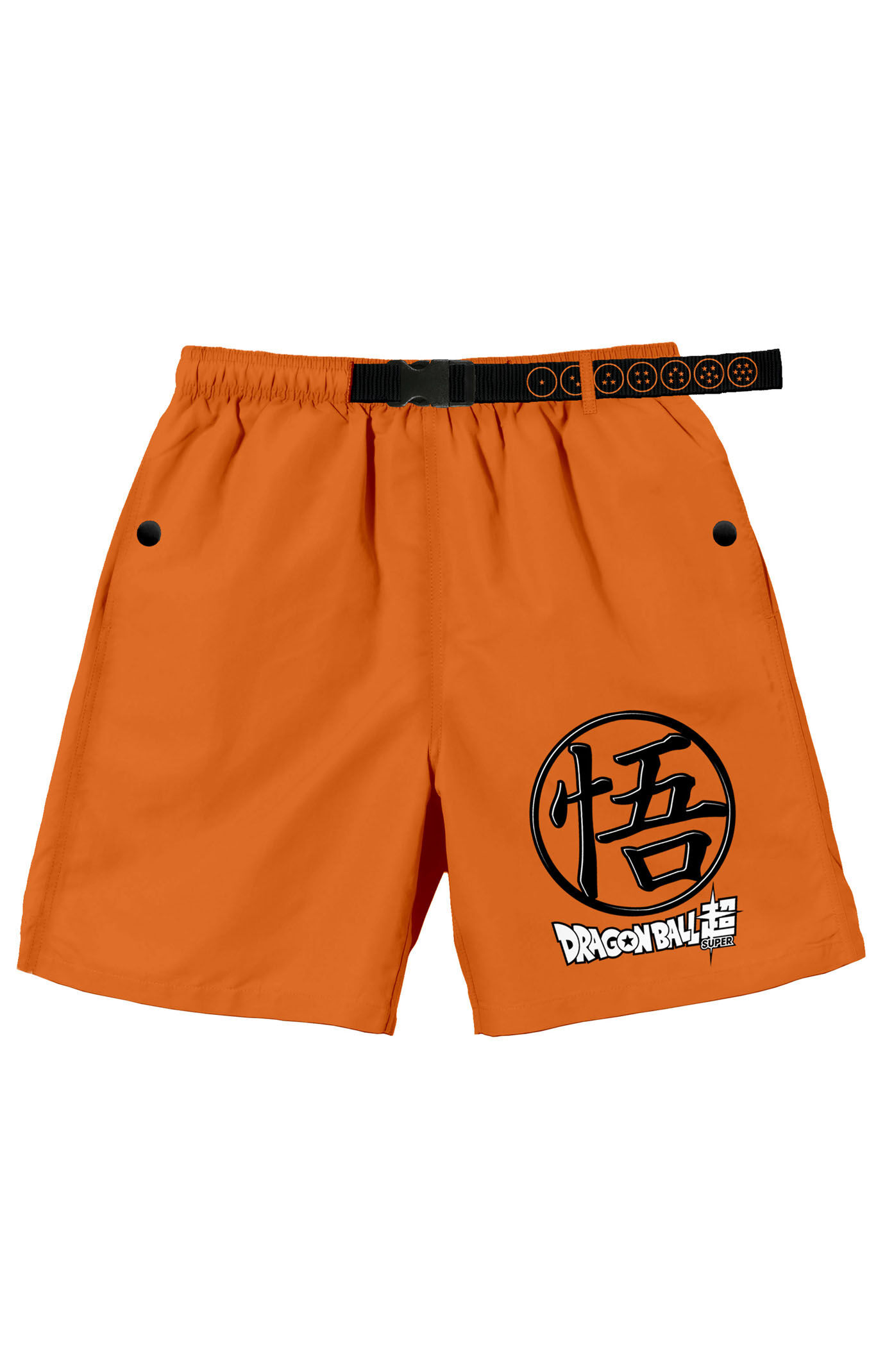 PacSun Dragon Ball Super Hero Kanji Shorts