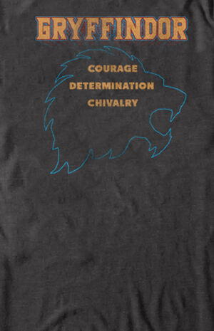 Gryffindor T-Shirt image number 4