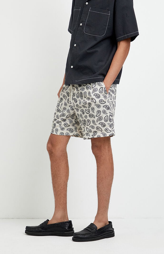 Pacsun Printed Aaron Mesh Volley Shorts
