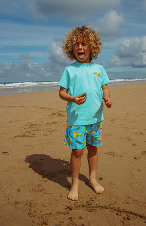 Kids Island Elders 5.5" Swim Trunks image number 3