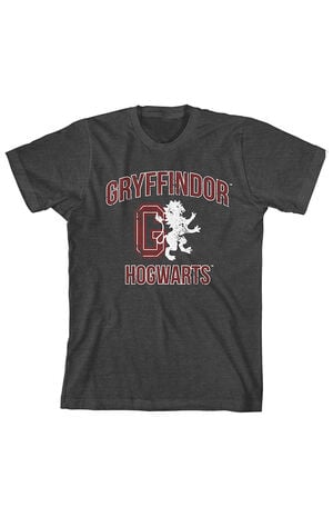 Kids Harry Potter Gryffindor T-Shirt image number 1