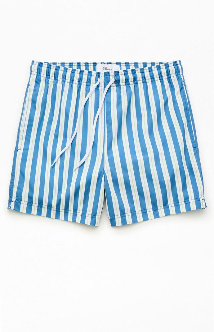 Pacsun Blue Resort Striped 4.5" Swim Trunks