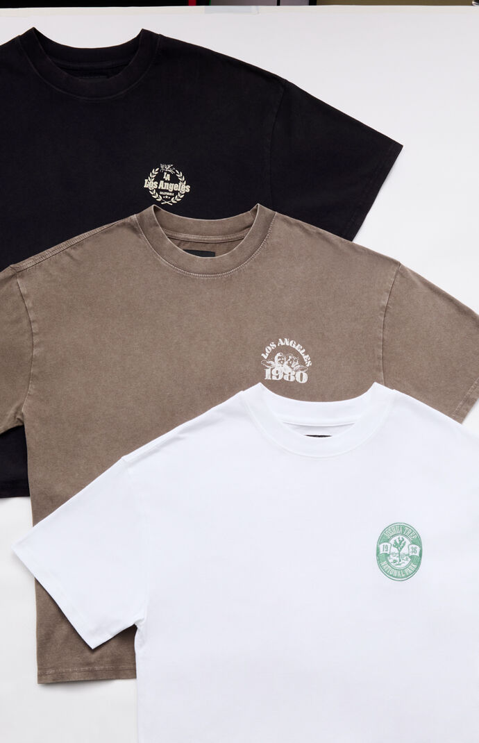 Pacsun 3 Pack Solid Color Embroidered T-Shirts | Pacsun
