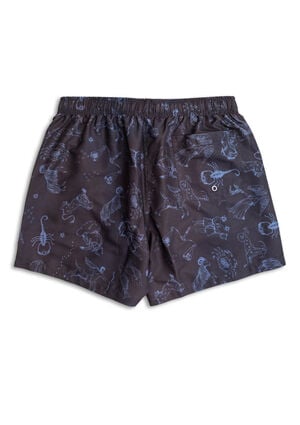 Stargaze 4.7" Swim Trunks image number 2