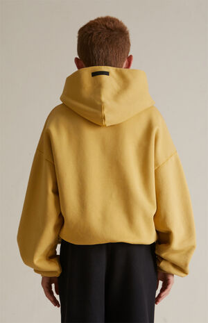 Kids Amber Heavy Fleece Hoodie image number 4