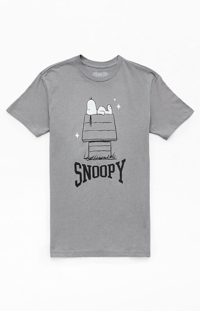 Pacsun Kids Snoopy Dog House T Shirt in Charcoal Size Small
