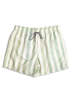 Fistral Stripe 4.7" Swim Trunks image number 1