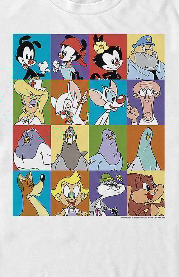 Animaniacs Character Boxes T-Shirt