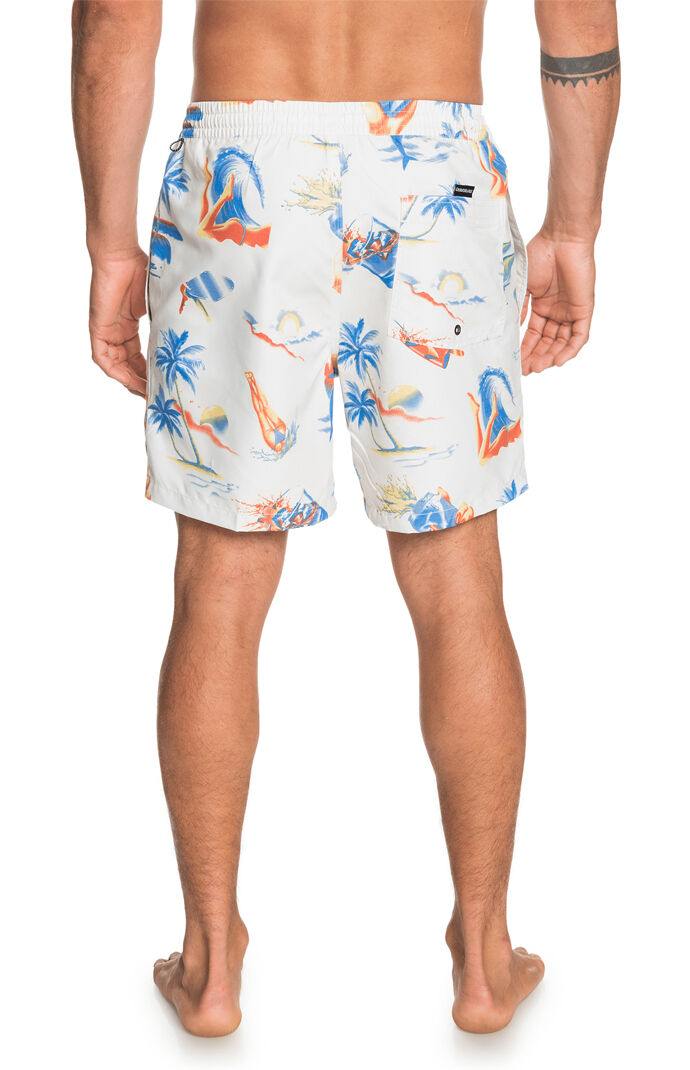 Sun Damage 17" Swim Trunks