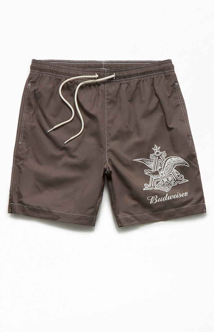 Pacsun boardshorts best sale