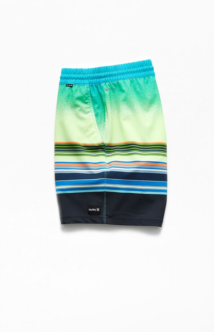 Spectrum Volley 17" Swim Trunks