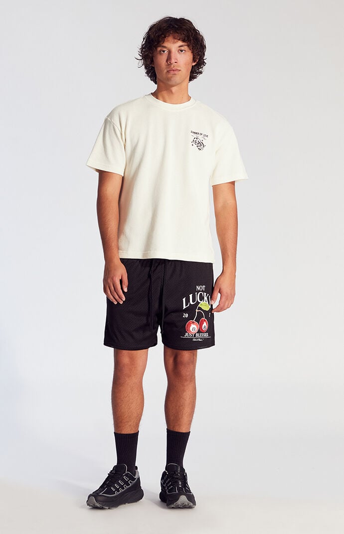 Pacsun Cherry Mesh Shorts | Pacsun