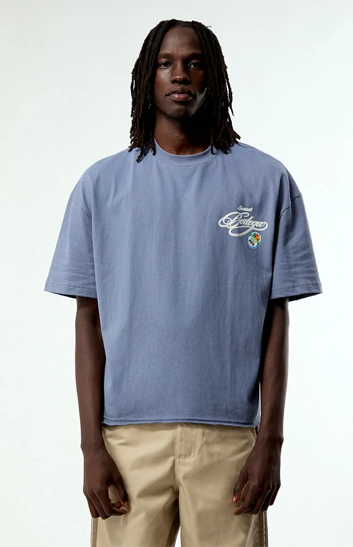 Pacsun Bodega Applique Cropped Boxy T-Shirt
