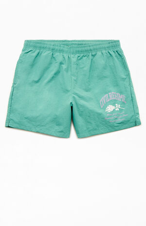 Solid 6.5" Swim Trunks image number 1